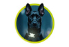 Mobile Origin AirTag Pet Collar, luminous green