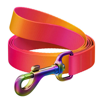 WAUDOG SMYCZ DLA PSA NYLONOWA 15MM 122CM GRADIENT POMARAŃCZOWA DO SPACERÓW