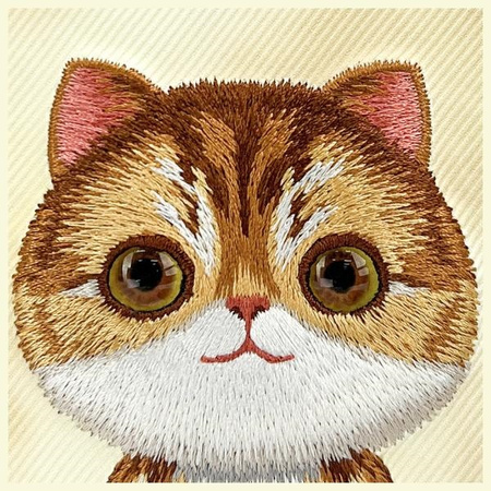 NIMMY ETUI CASE DO IPHONE 16 6.1 BIG EYED PET CAT OCHRONNE ANTYPOWIERNIOWE