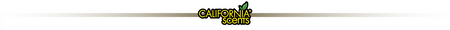 CALIFORNIA SCENTS ZAPACH DO SAMOCHODU CORONADO CHERRY ŚWIEŻY I INTENSYWNY