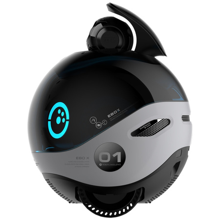 Inteligentny robot towarzyszący ENABOT   EBO X