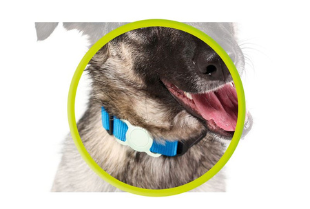 Mobile Origin AirTag Pet Collar, luminous green