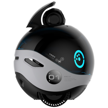 Inteligentny robot towarzyszący ENABOT   EBO X