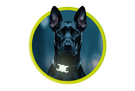Mobile Origin AirTag Pet Collar, luminous green