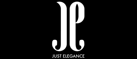JUST ELEGANCE ETUI 2IN1 DO IPHONE 15 DO MAGSAFE OCHRONNY POKROWIEC
