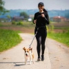 Pas biodrowy z saszetką i elastyczną smyczą do biegania z psem Wozinsky WPST-01 - czarny