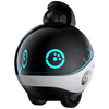 Inteligentny robot towarzyszący ENABOT   EBO X