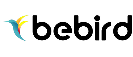 BEBIRD OTOSKOP Z KAMERĄ DO CZYSZCZENIA USZU R1 DO TELEFONÓW ANDROID IOS
