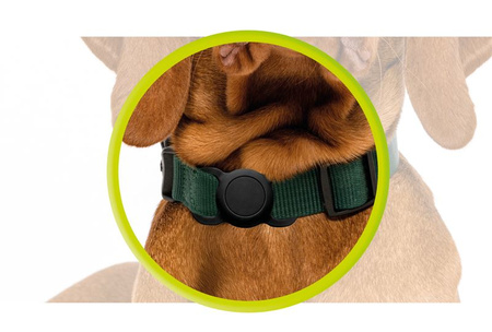 Mobile Origin AirTag Pet Collar, black