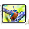 HOFI FOLIA OCHRONNA DO IPAD AIR 11 6 7 2024 2025 MATTE 2-PACK ANTYZADARCIOM