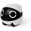 Inteligentny robot towarzyszący ENABOT   ROLAMINI
