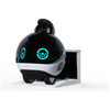 Inteligentny robot towarzyszący ENABOT   EBO X
