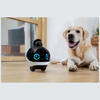 Inteligentny robot towarzyszący ENABOT   EBO X