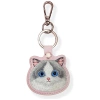NIMMY ETUI BIG EYED PET 2.0 CAT DO LOKALIZATORA AIRTAG Z OCHRONĄ